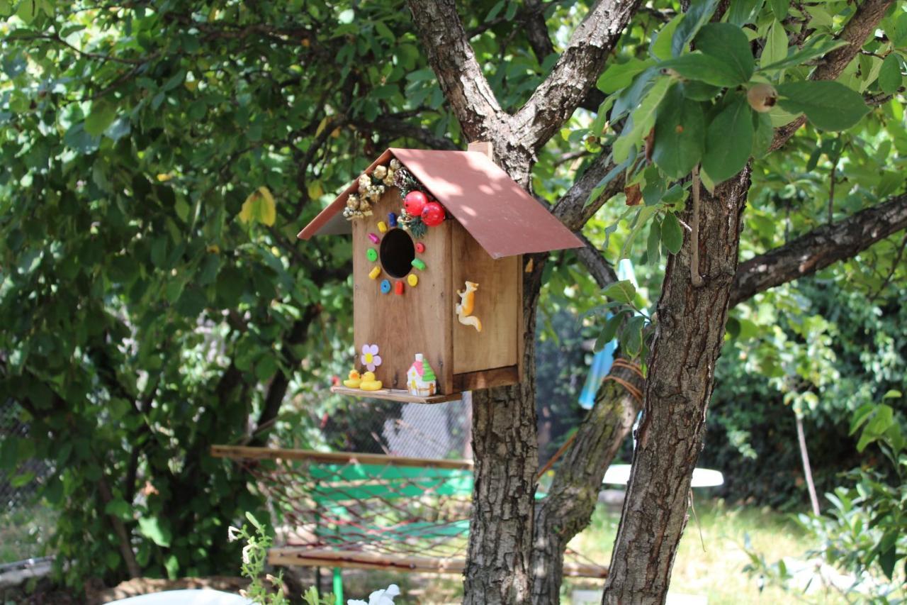 Guest House Poligloti Telavi Buitenkant foto